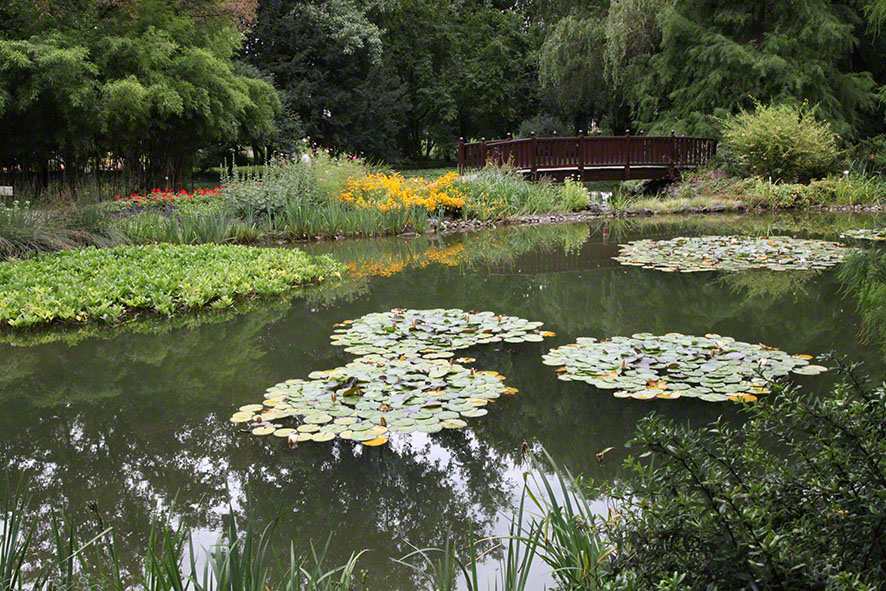 Zagreb-Botanischer Garten 2014