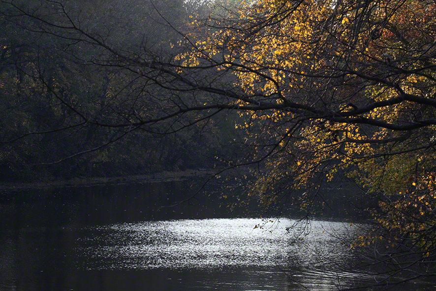 Prater - am Heustadlwasser
