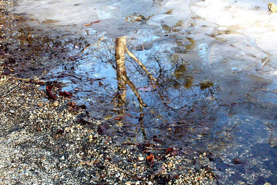 Lusthauswasser, vereist