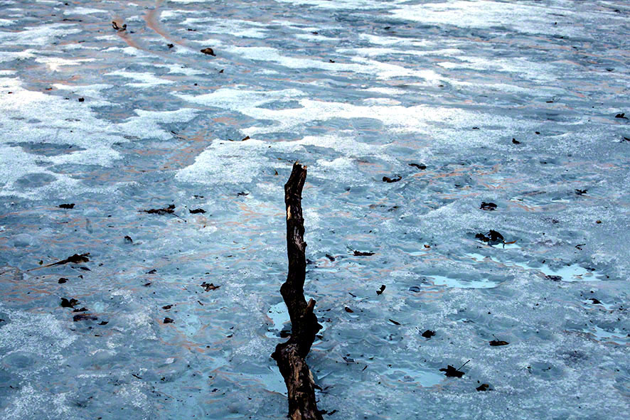 Lusthauswasser, vereist