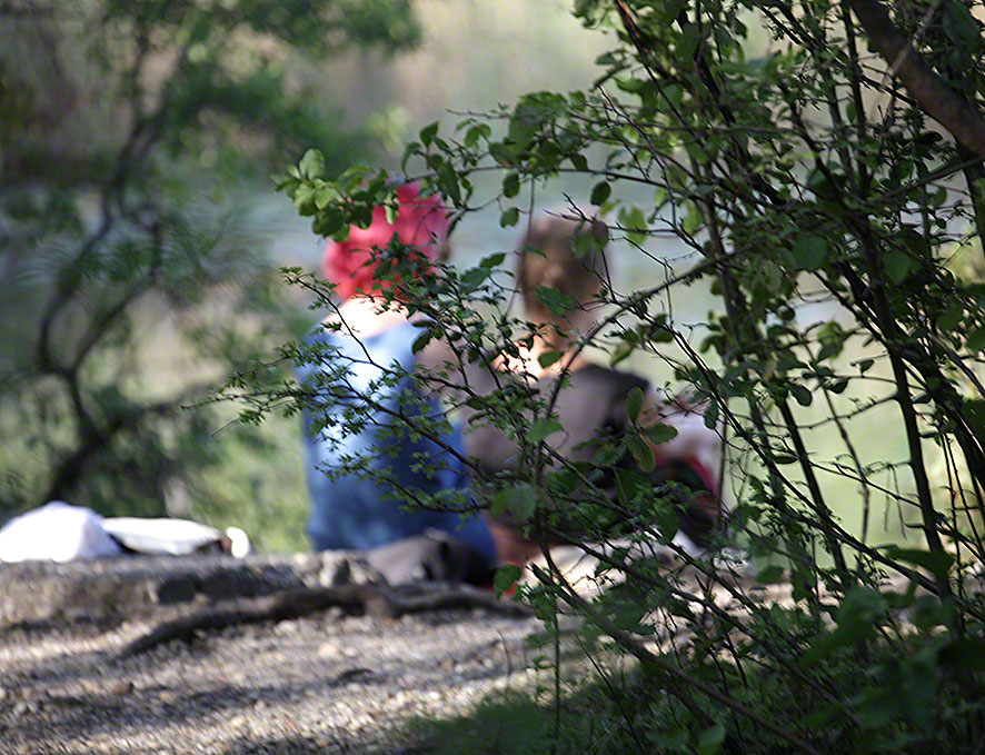 Mädchen in der Lobau - Spätsommer-Impressionen