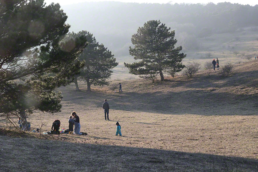 Perchtoldsdorf Heide