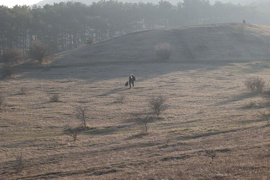 Perchtoldsdorf Heide