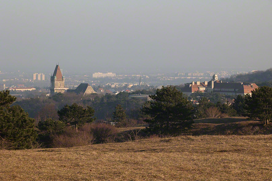 Perchtoldsdorf Heide