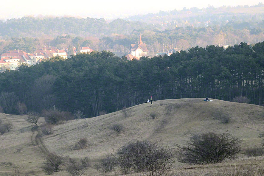 Perchtoldsdorf Heide
