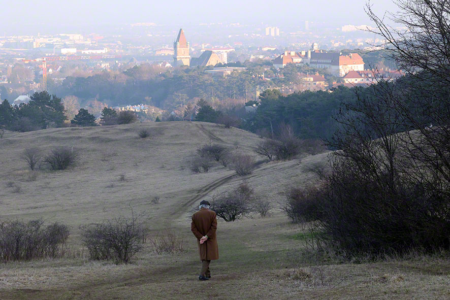 Perchtoldsdorf Heide
