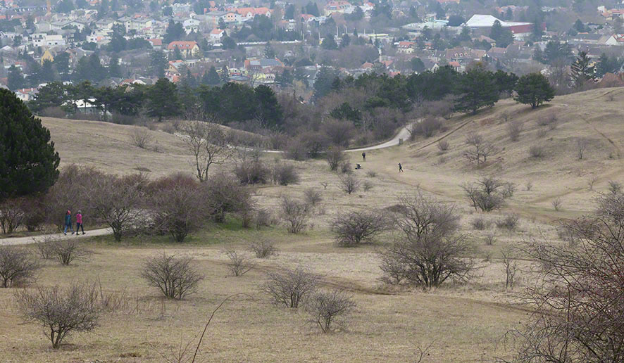 Perchtoldsdorf Heide