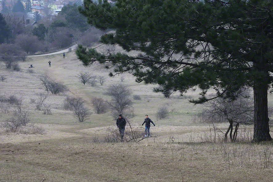Perchtoldsdorf Heide