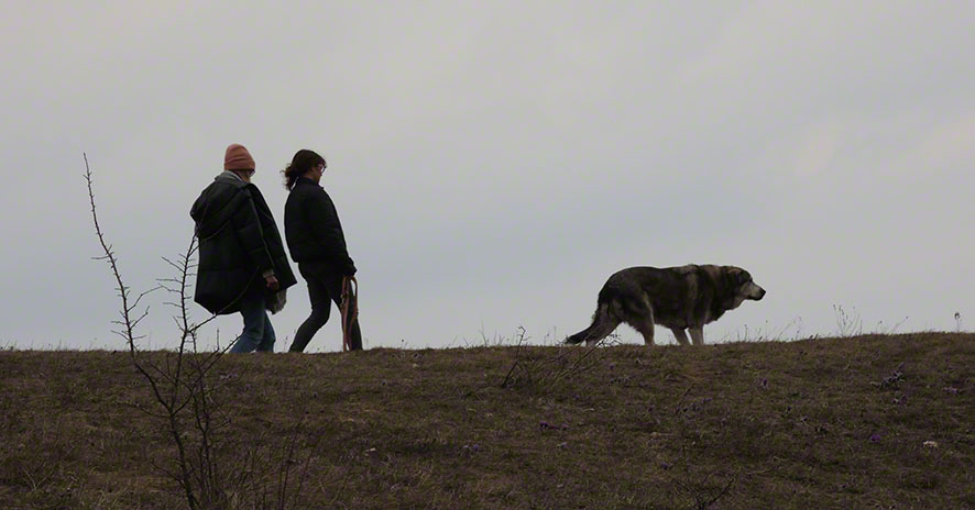 Perchtoldsdorf Heide