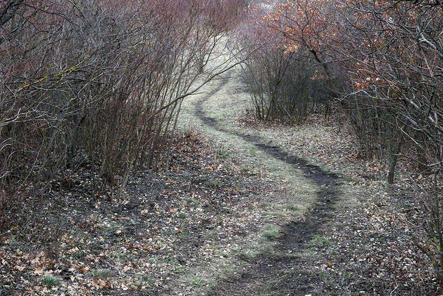 Perchtoldsdorf Heide