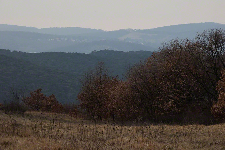 Perchtoldsdorf Heide