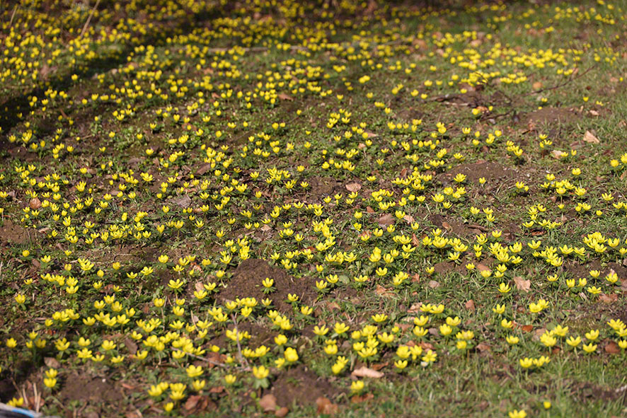 Hintersdorf Winterling