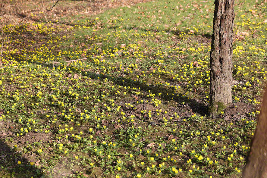 Hintersdorf Winterling